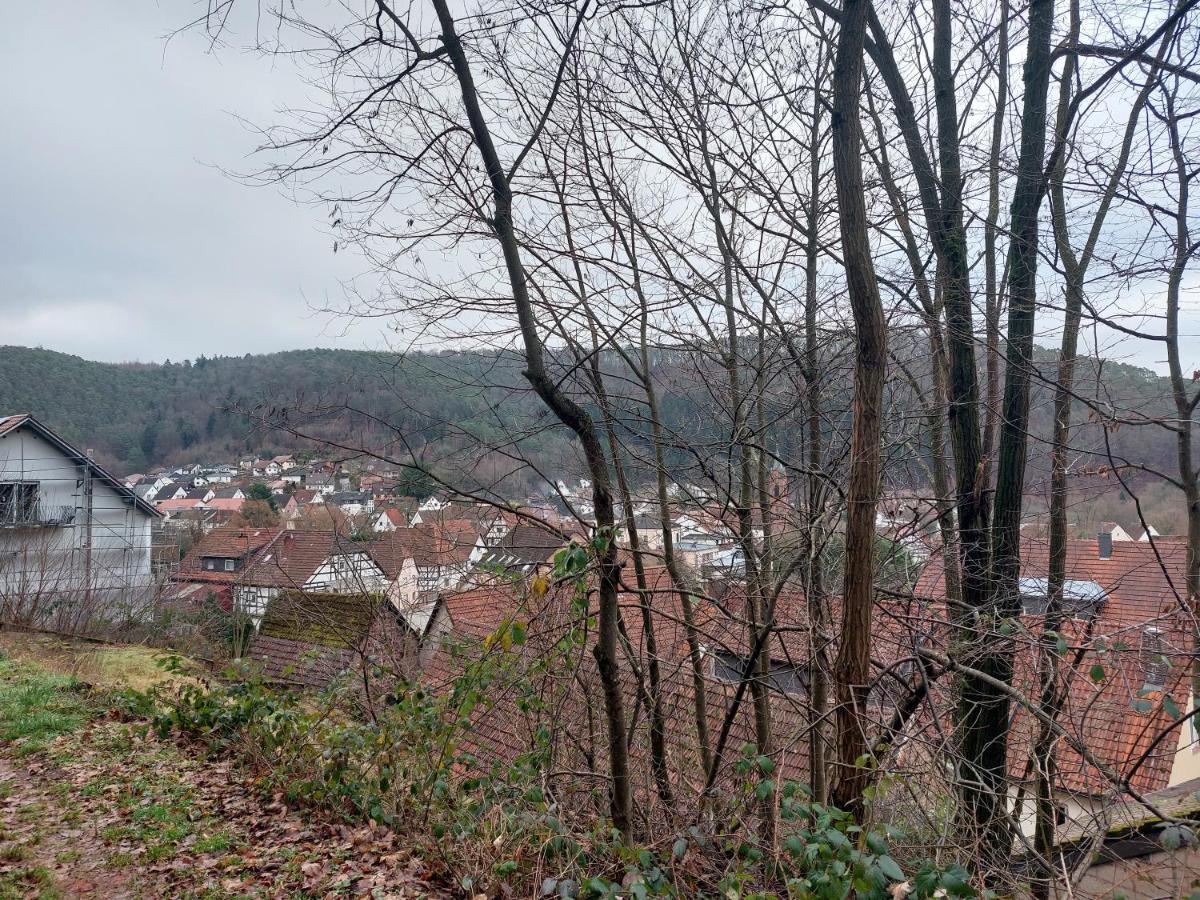 Ferienwohnung Unterm Rappenfels Hinterweidenthal Exteriör bild